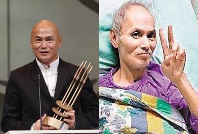 电视剧很多,像《洪熙官》《少林搭棚大师》《少年苏乞儿》《醉拳》
