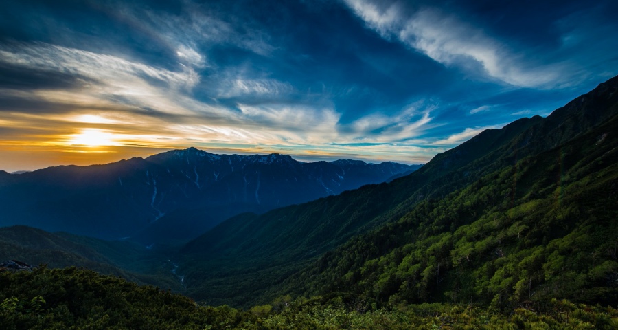 这个市场家电企业今年不能再错过!-家电圈官网
