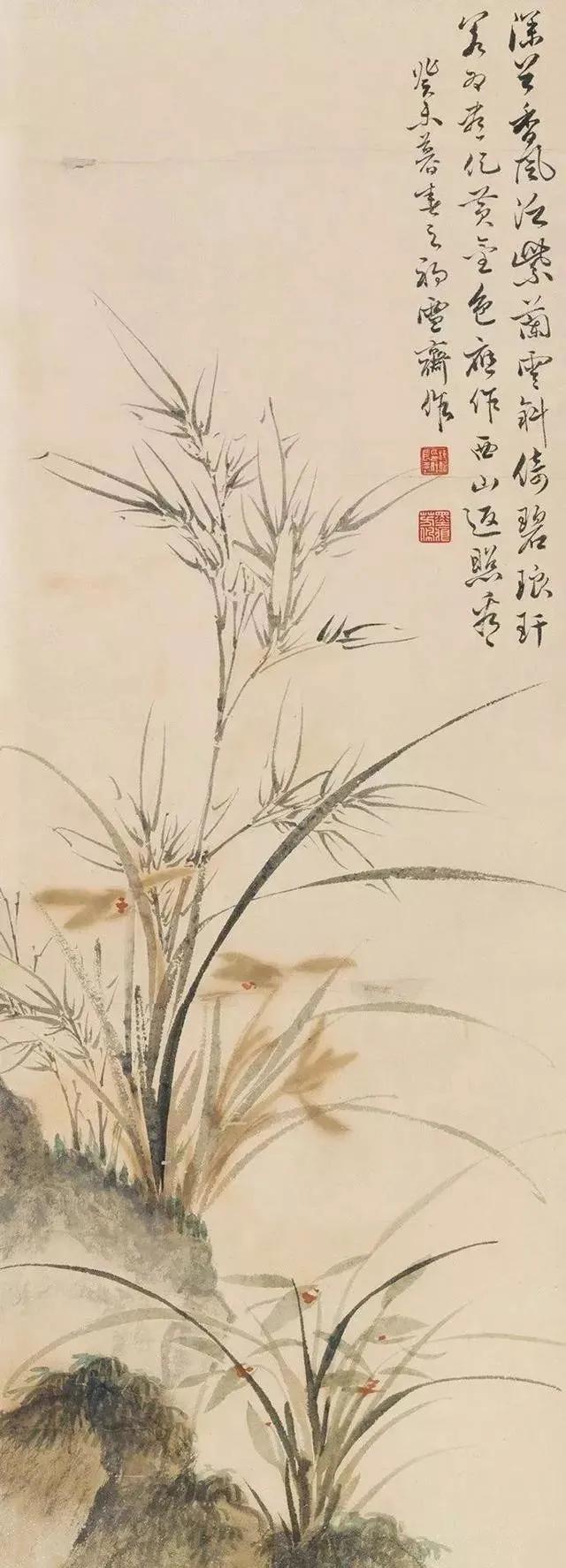 蘭花之美,君子之德!_蘭花素