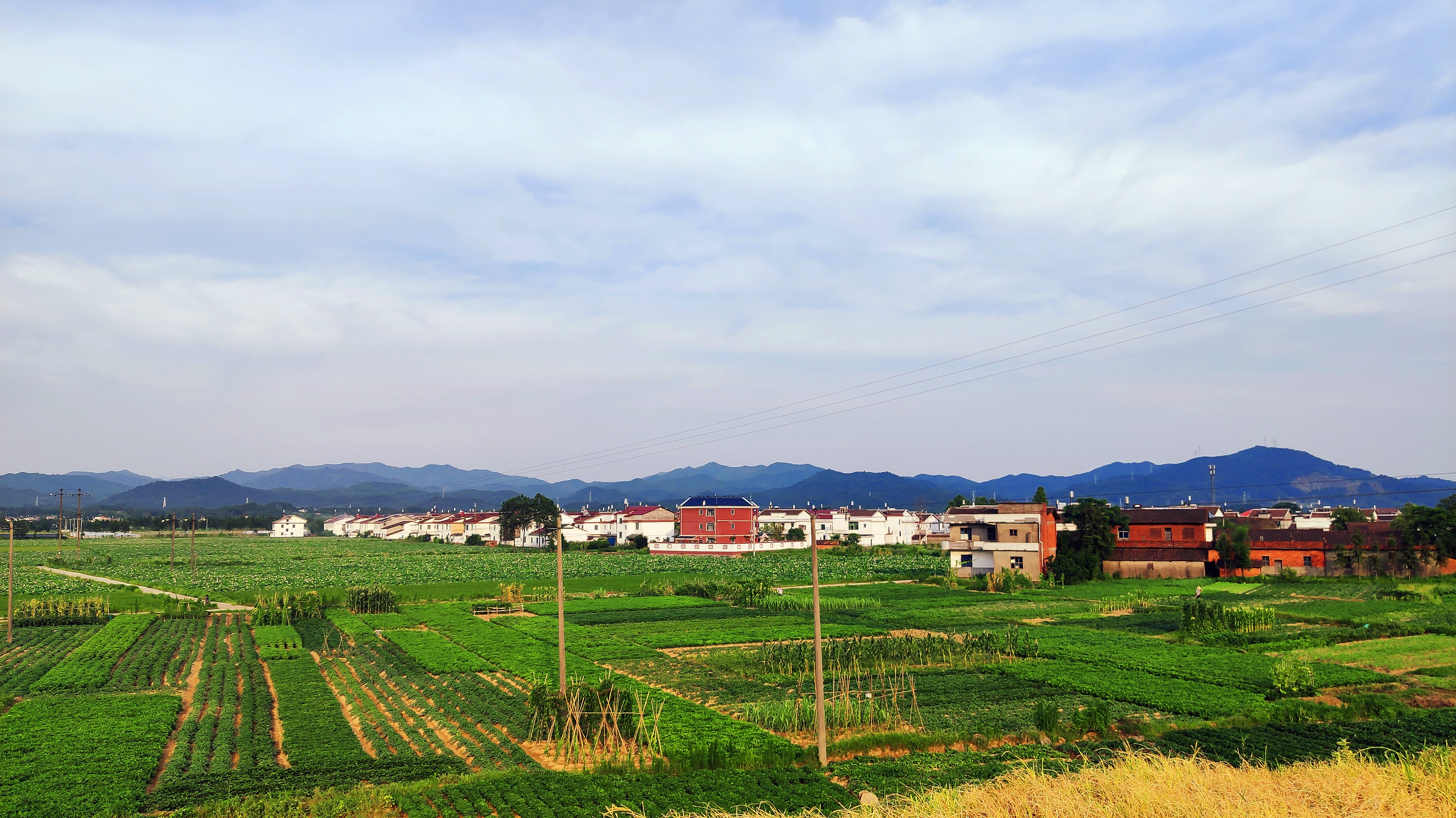 江西省抚州市南城县徐家镇盱江河畔2020年7月5日我的拍照日记