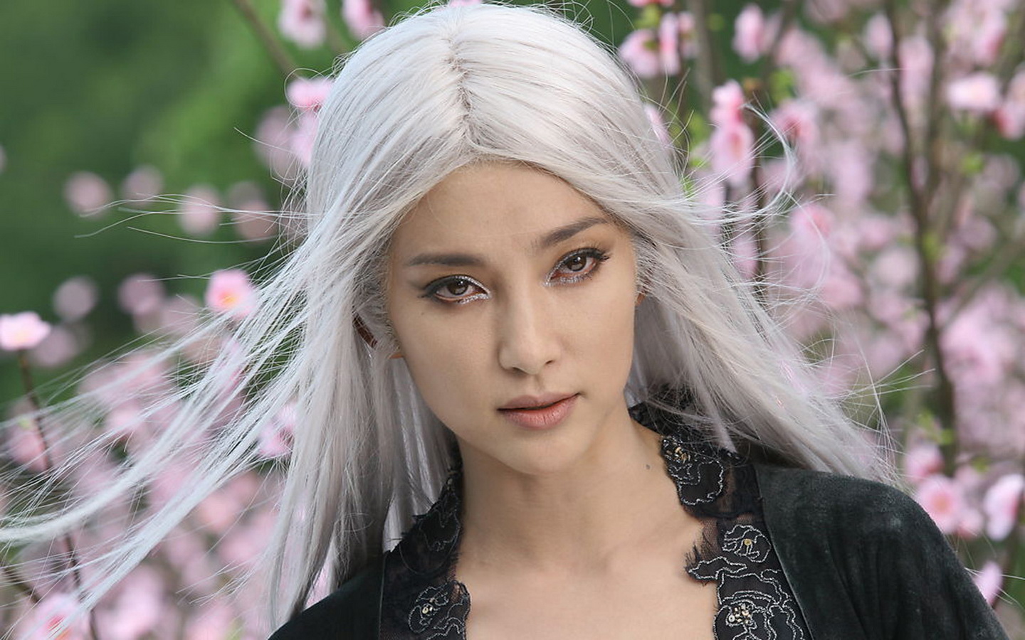 美女明星李冰冰的图集003