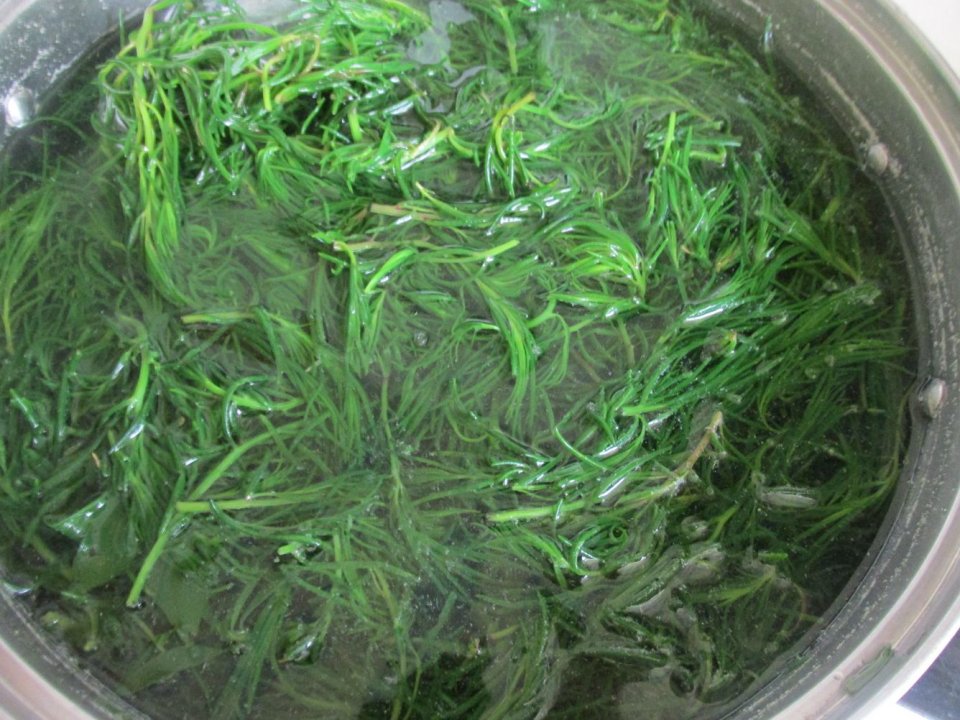 夏天,用它包饺子比肉馅的好吃,一分钱不用花,我家每周都吃3次_黄须菜