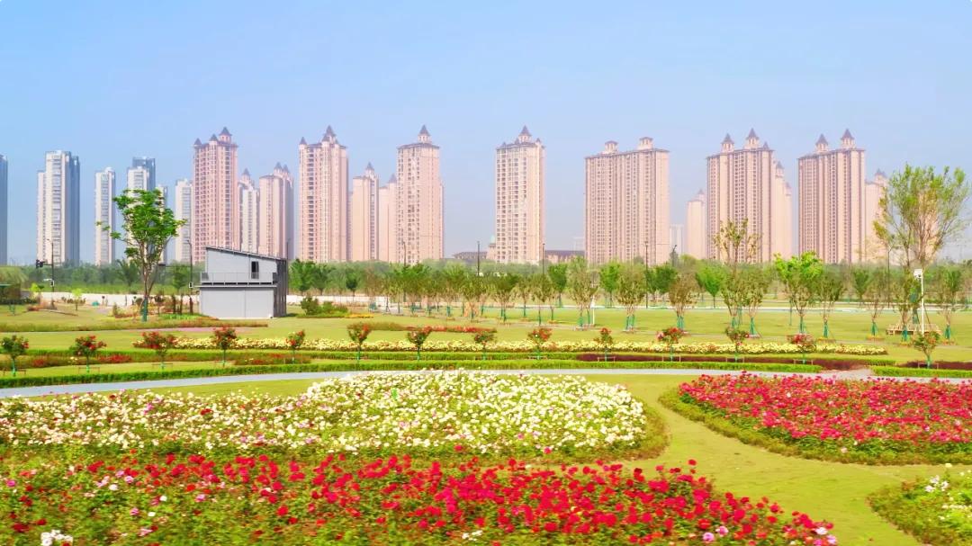 新区上人民日报药谷这家企业展现创新姿态