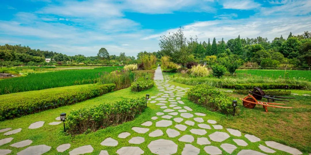 市"西控"工作推进会考察依田桃源,"依田文商"成亮点!