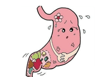 胃真的会越吃撑得越大,越饿缩的越小吗?