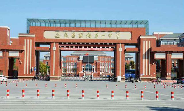 灵璧中学(全省文,理科前500强有11人)