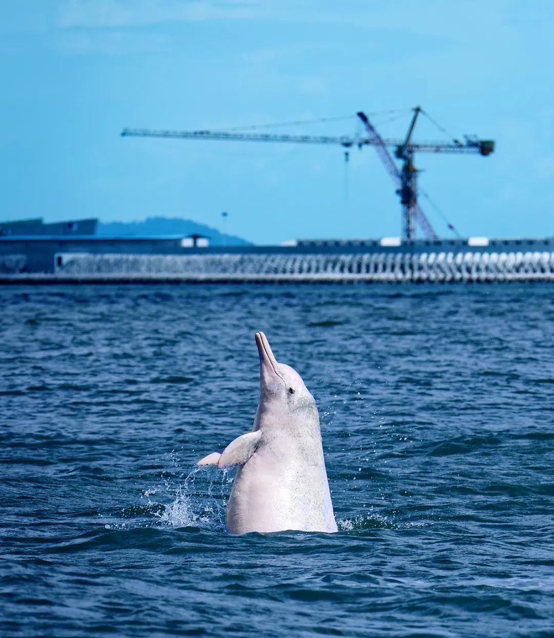 湛江,中国大陆的尽头
