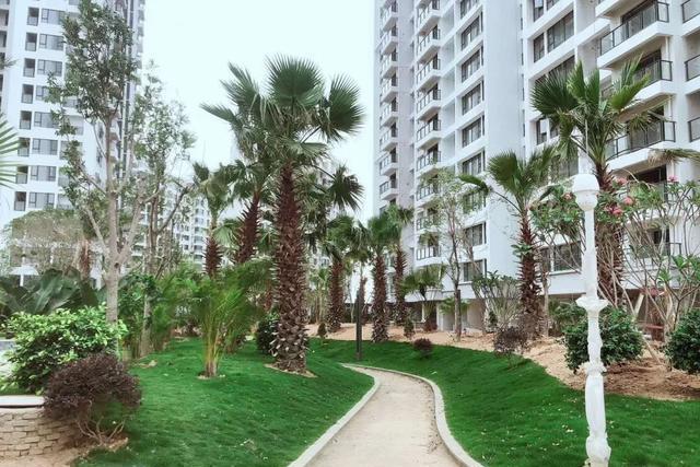 出繁入静,三亚依山云锦醇熟社区栖居繁华里