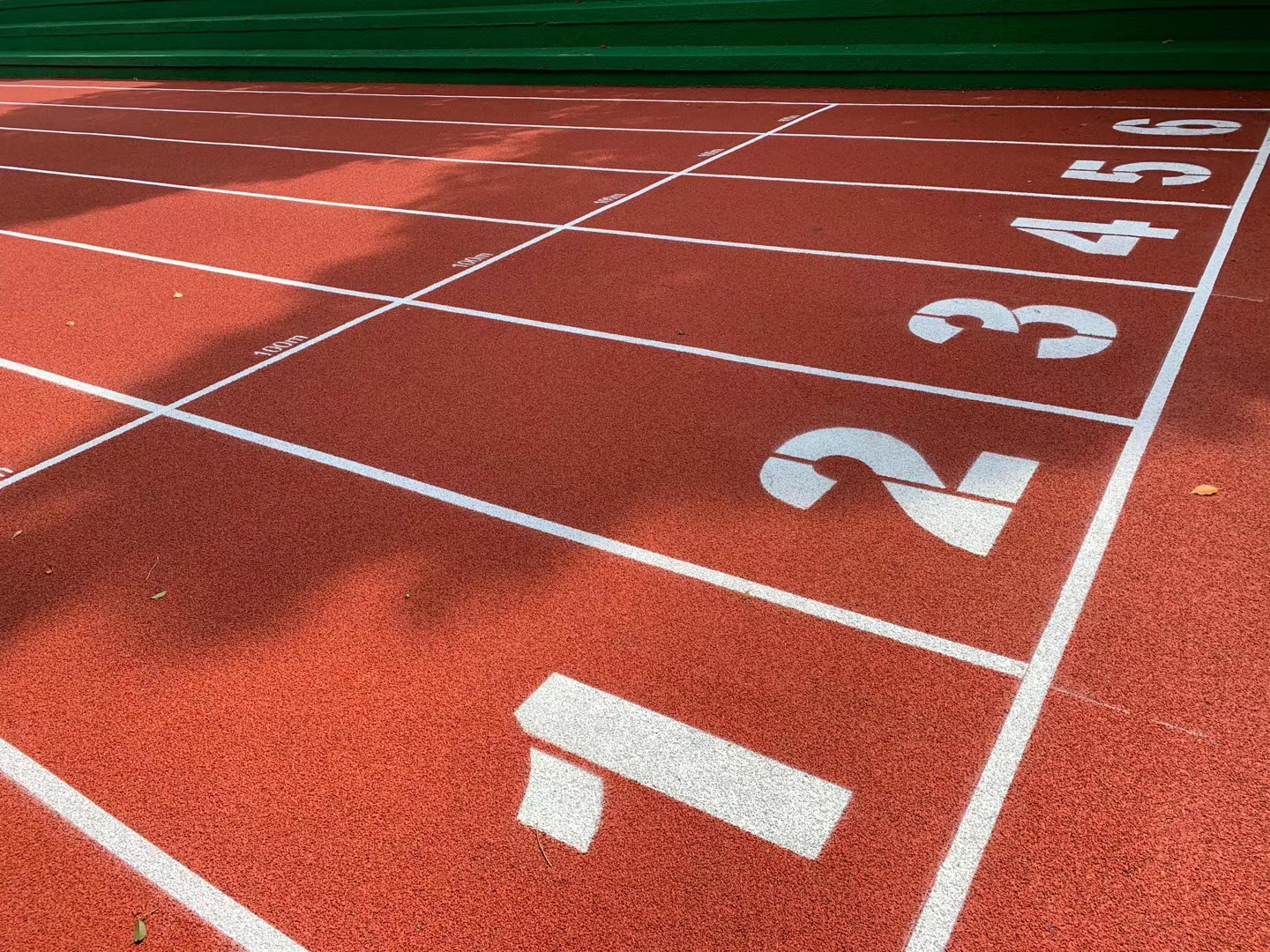 江苏启东定海小学塑胶跑道-搜狐大视野-搜狐新闻