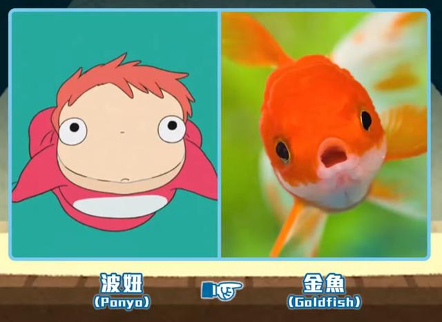 其实我一直以为它是小黄鸭来的,但其实不是.