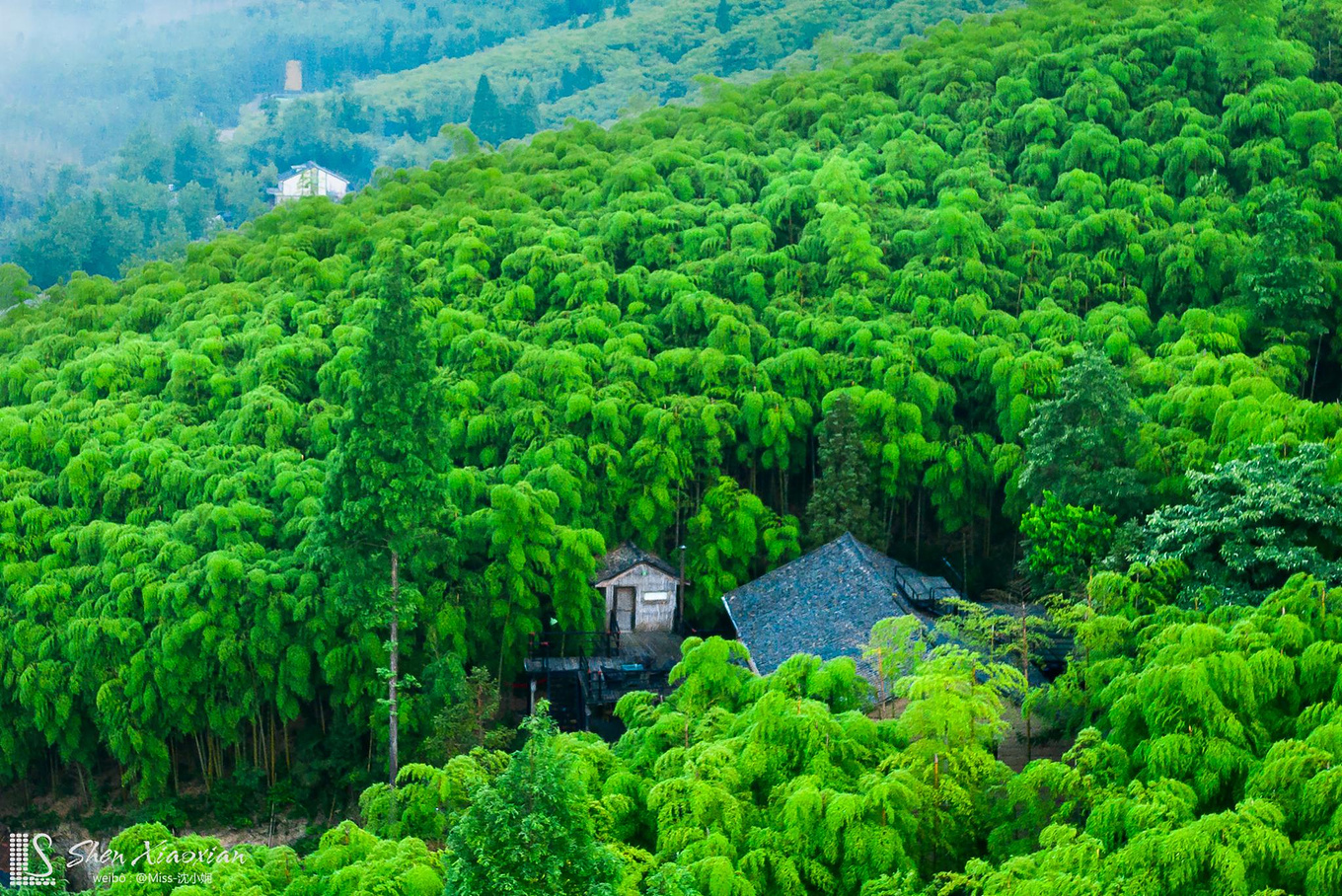 避暑中的c位,解锁莫干山正确的打开方式