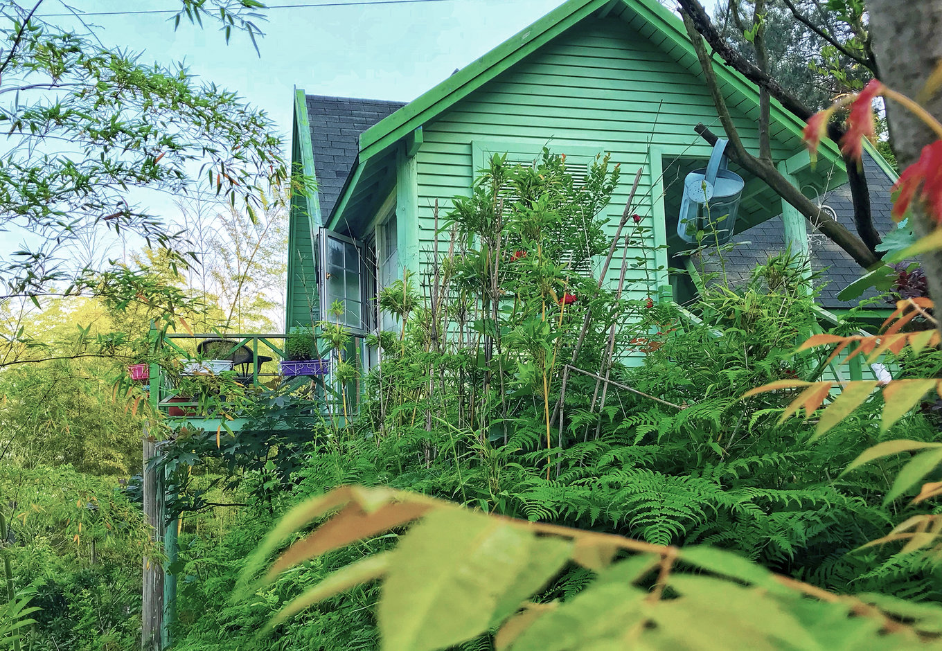 原创隐藏在山里的城堡民宿,周边绿植茂盛,就像是住在森林氧吧一样