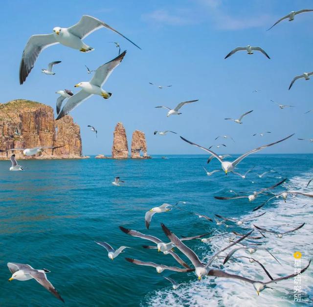 被忽视的渤海有多美