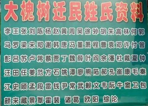 大槐树移民姓氏表图片