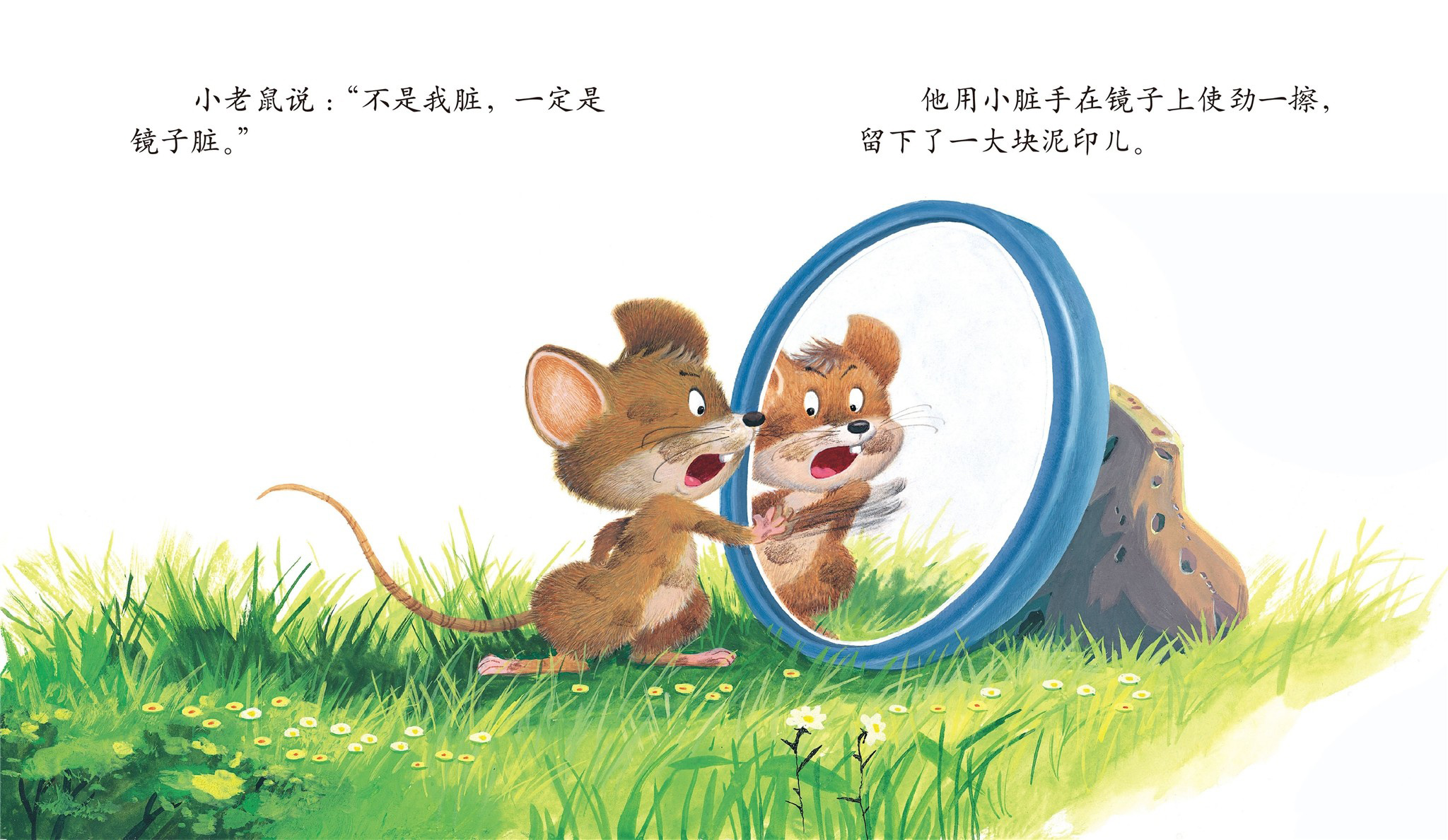 儿童绘本故事推荐《圆圆的镜子》