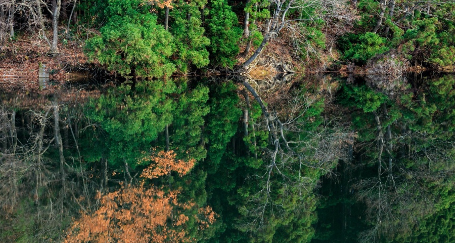 当家电促销活动太多太乱，厂商们如何才能抓住用户？-家电圈官网