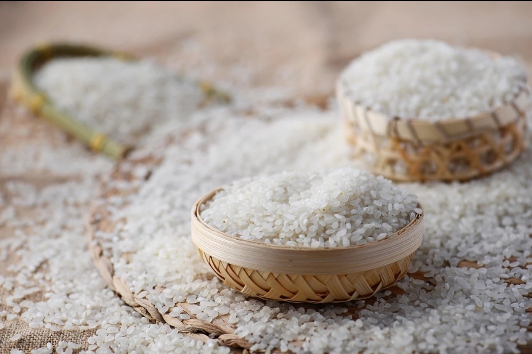 博君富硒大米种植基地