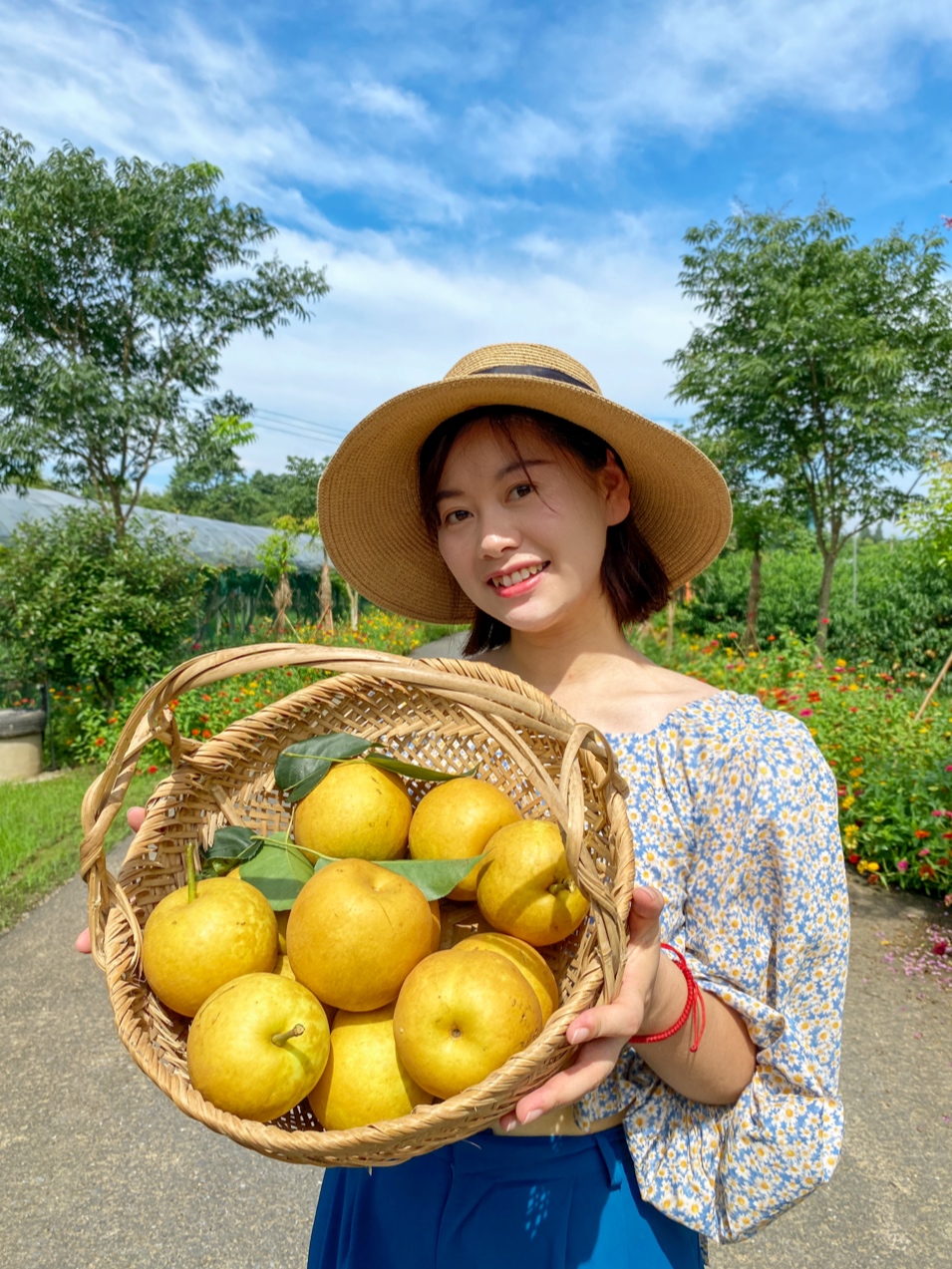 摘水果|安吉田园嘉乐比梨子季来了