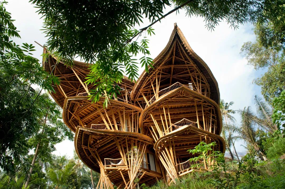 他们用一根根竹子,建造出了世界上最美的竹建筑