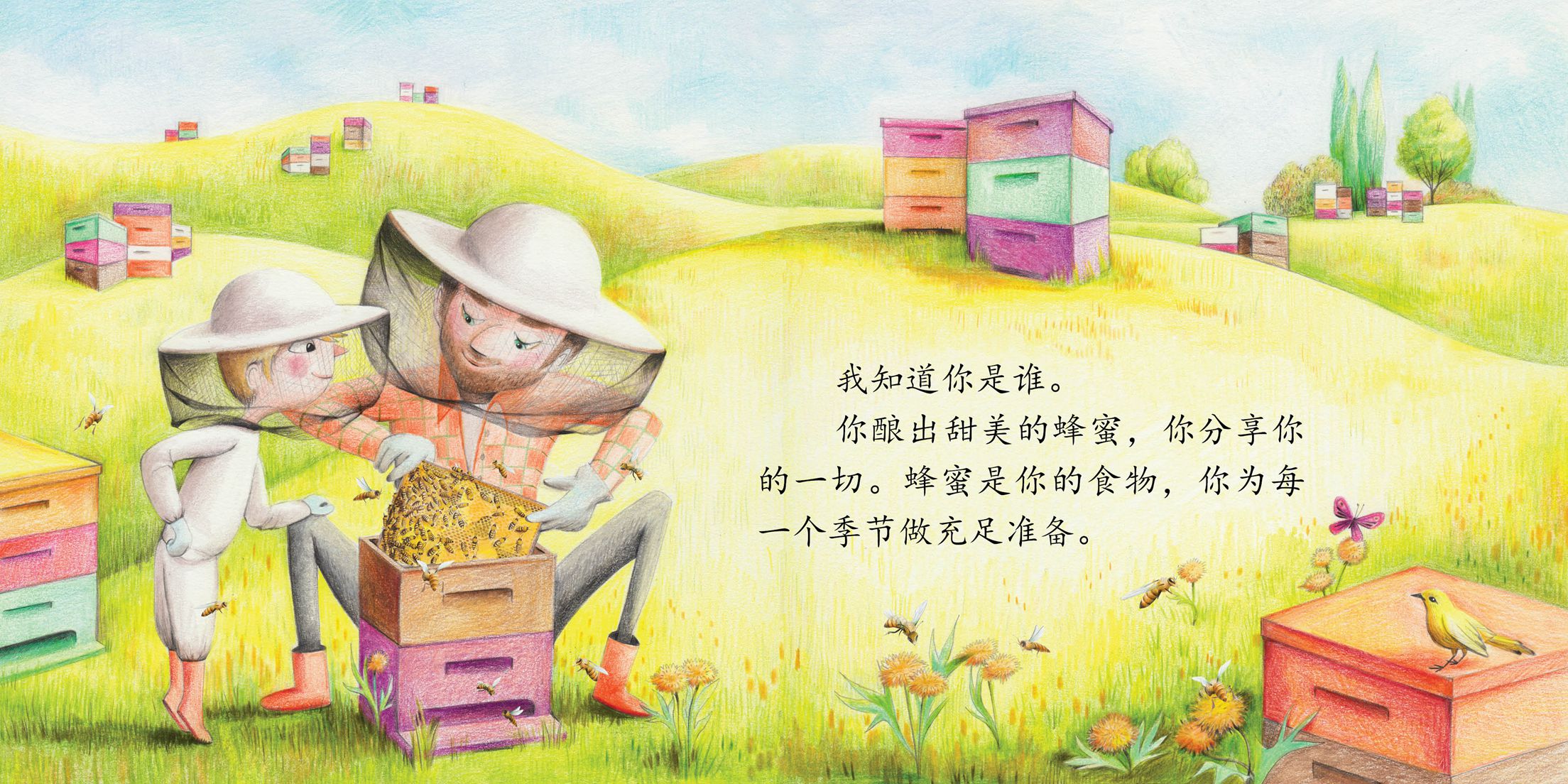 儿童绘本故事推荐《神奇的蜜蜂》