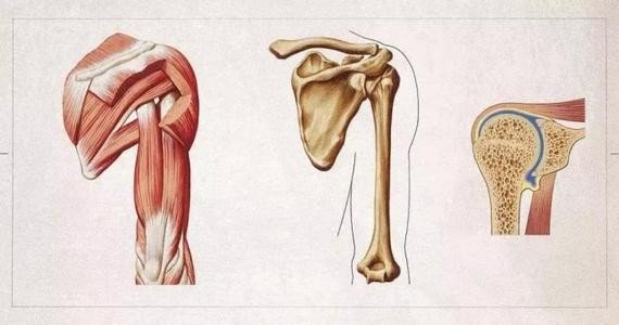 什么是沉肩坠肘科学练习方法典传筋骨开发