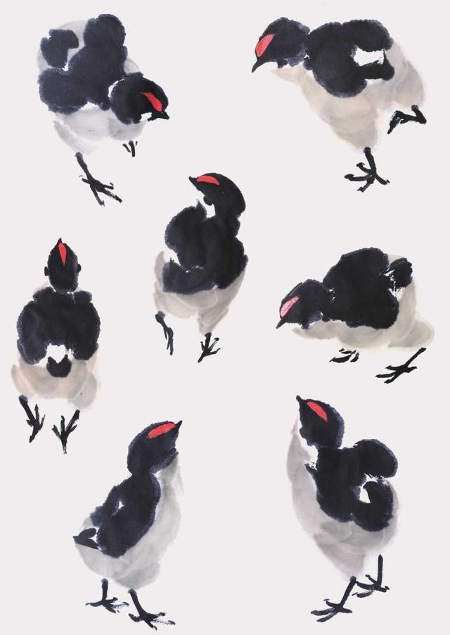 零基础国画教程雏鸡的画法简单易学