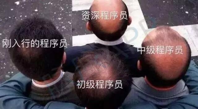 程序员图片段子图片