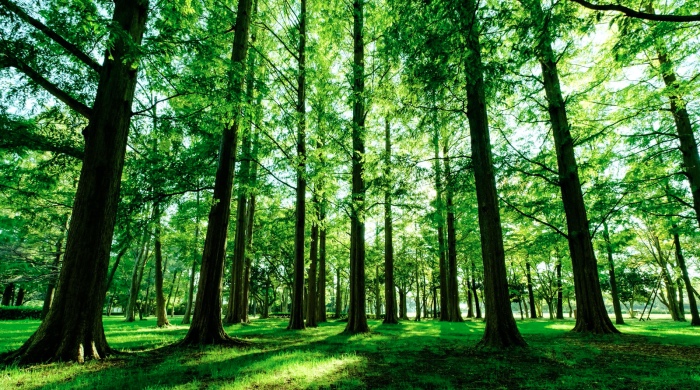 一线市场今年突涨急跌，家电经销商如何收获稳定经营？-家电圈官网