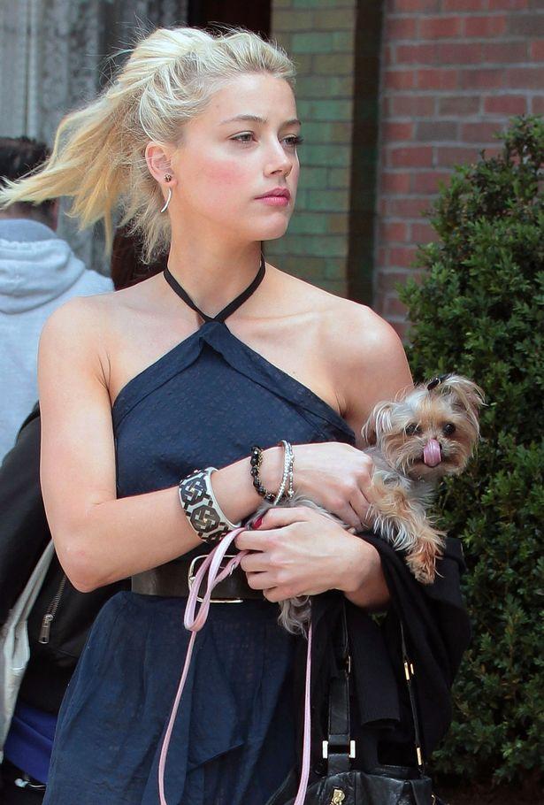 johnnydepp公开前妻amberheard床上拉屎实锤天啊玩的太大了