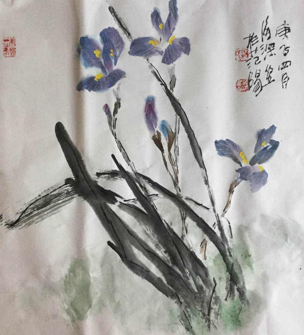 原创杨海深的小写意鸢尾花