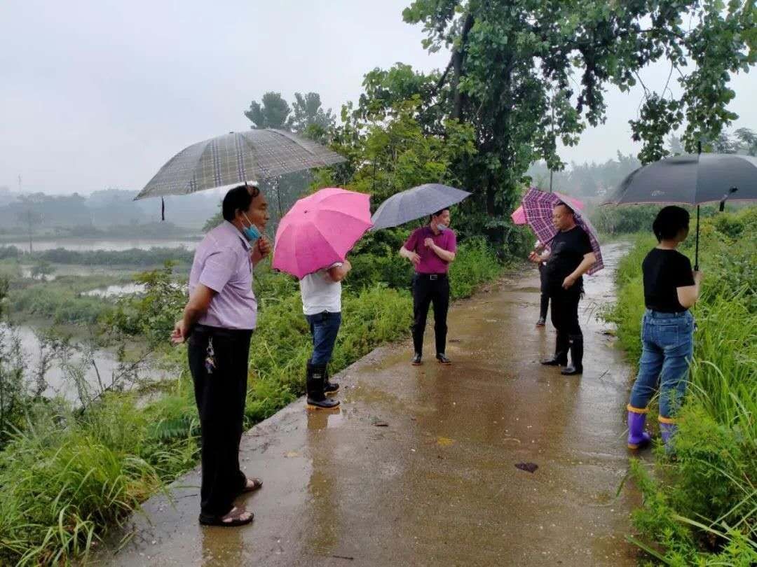 湖北蕲春横车镇财政所帮扶驻点界岭村:莫担心,防汛一线有我们