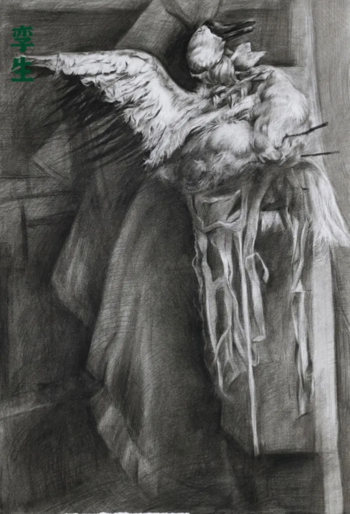 10课时长期作业,这些高职美术生把素描画出了新高度