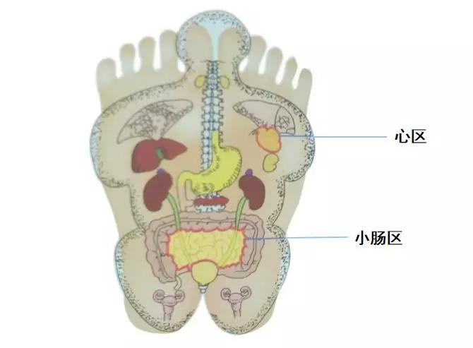 垃圾睡眠和失眠一樣傷身,這樣刮一刮來改善我們的睡眠