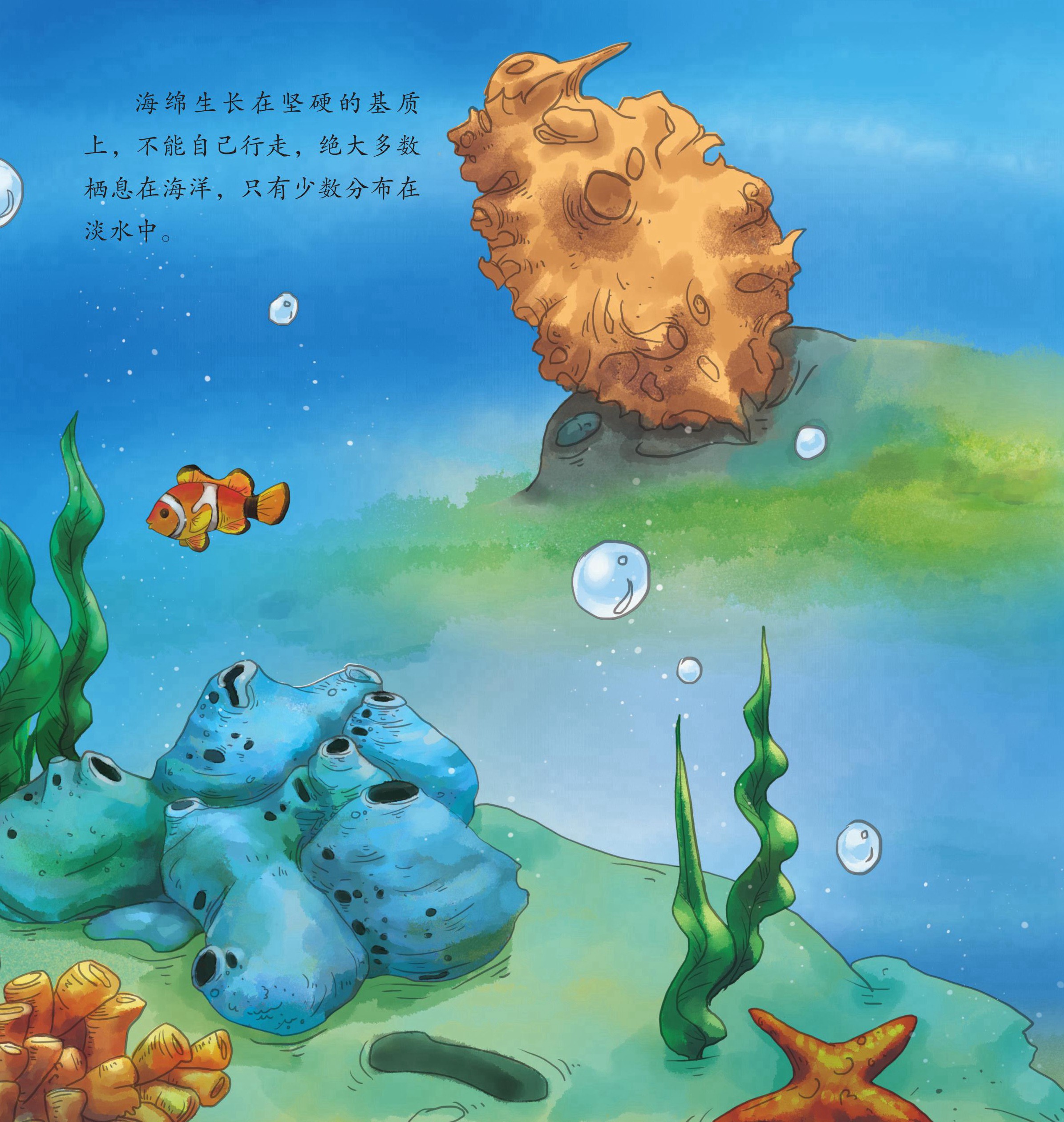 儿童绘本故事推荐《海洋里的怪物中》_版权