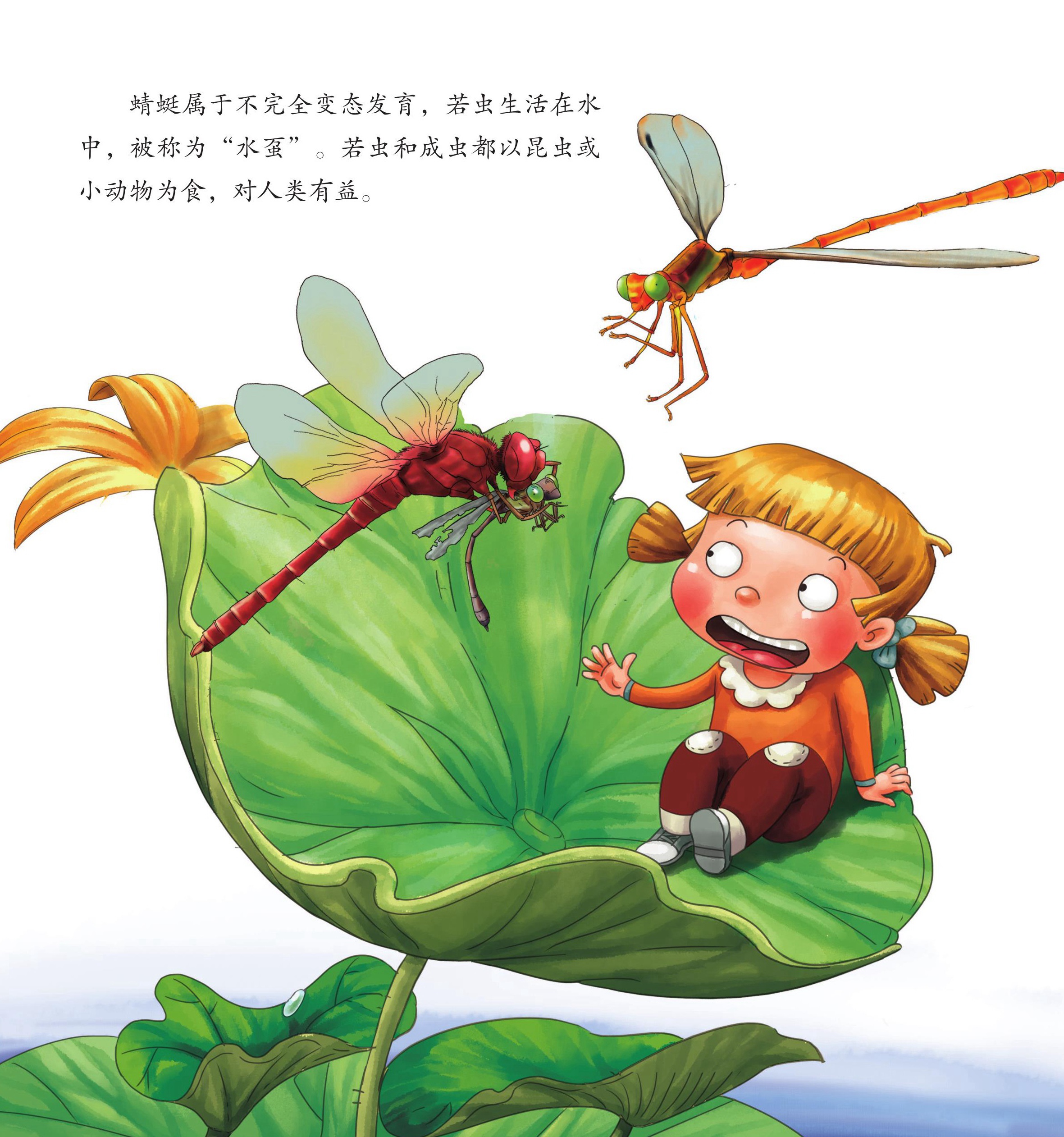 儿童绘本故事推荐《昆虫世界乐开怀中》