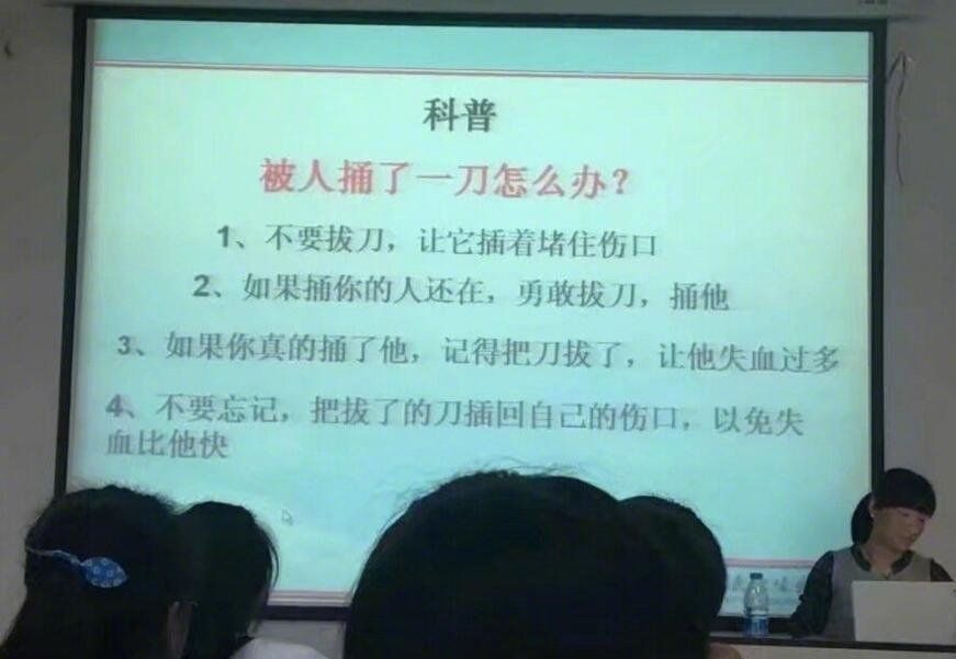 原创狗子,我对不起你!出差之前,把金毛放女朋友家,回来之后