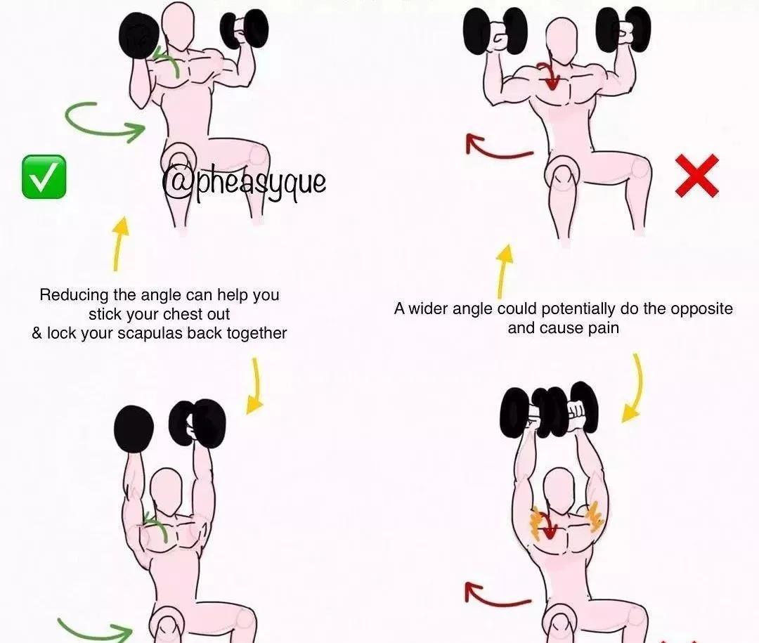 的形式简单直接的告诉你 常用的健身动作该怎样做 注:绿色为正确示范