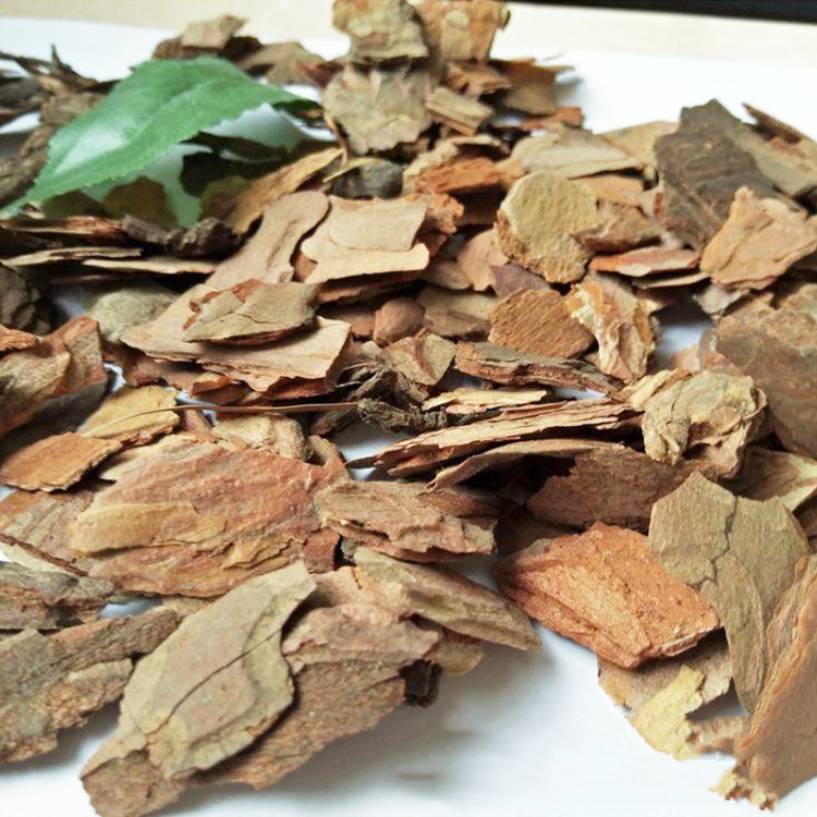 用松树皮养兰花疏松透气养分充足兰株长得旺不烂根