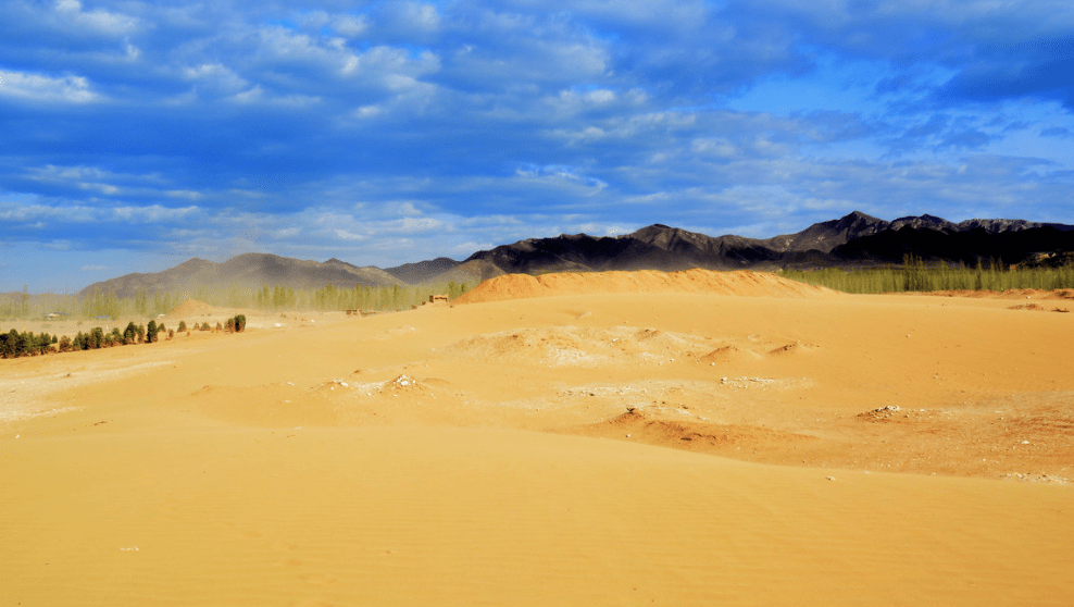 中国"地位"最高的沙漠:不仅不治理,还要填沙以免消失