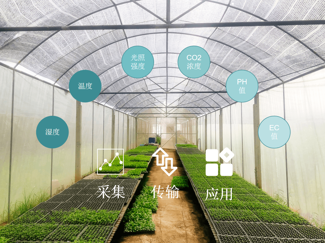 原创基于物联网技术的温室大棚