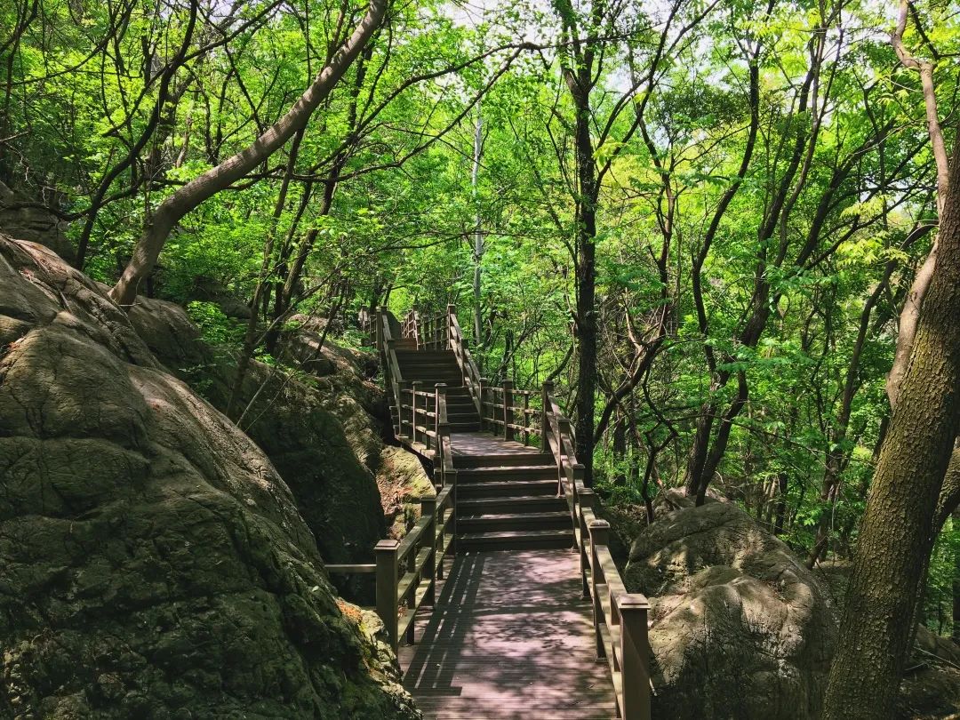 襄阳鹿鸣山图片