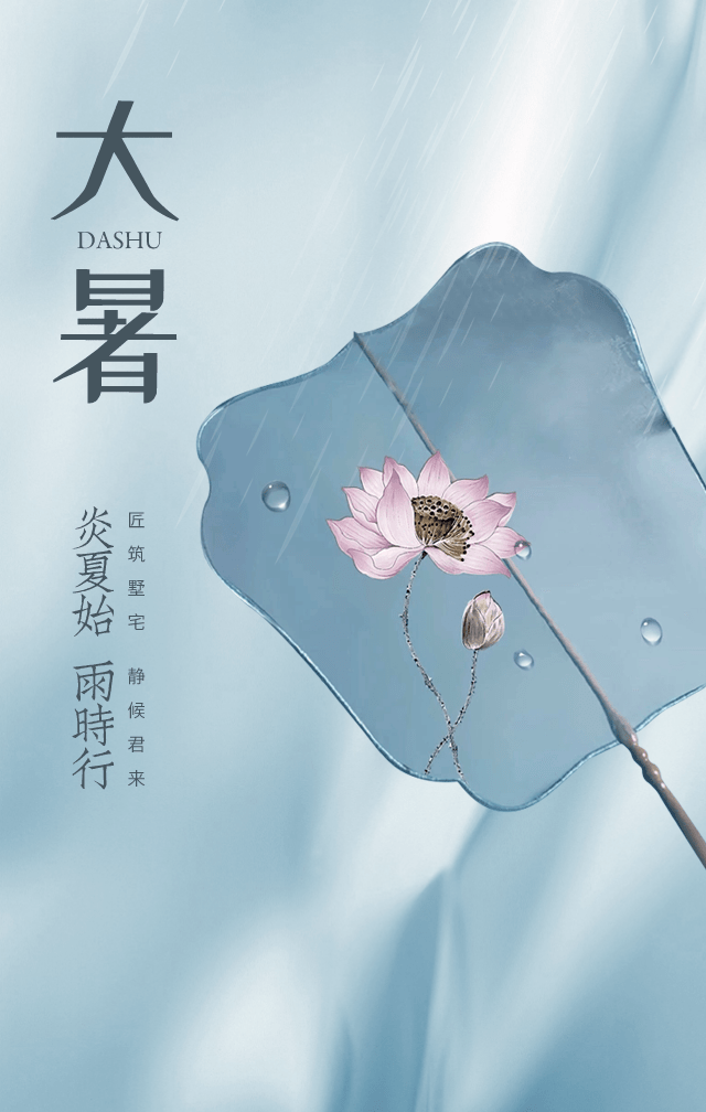 51张大暑海报,插画,喜欢的拿去用