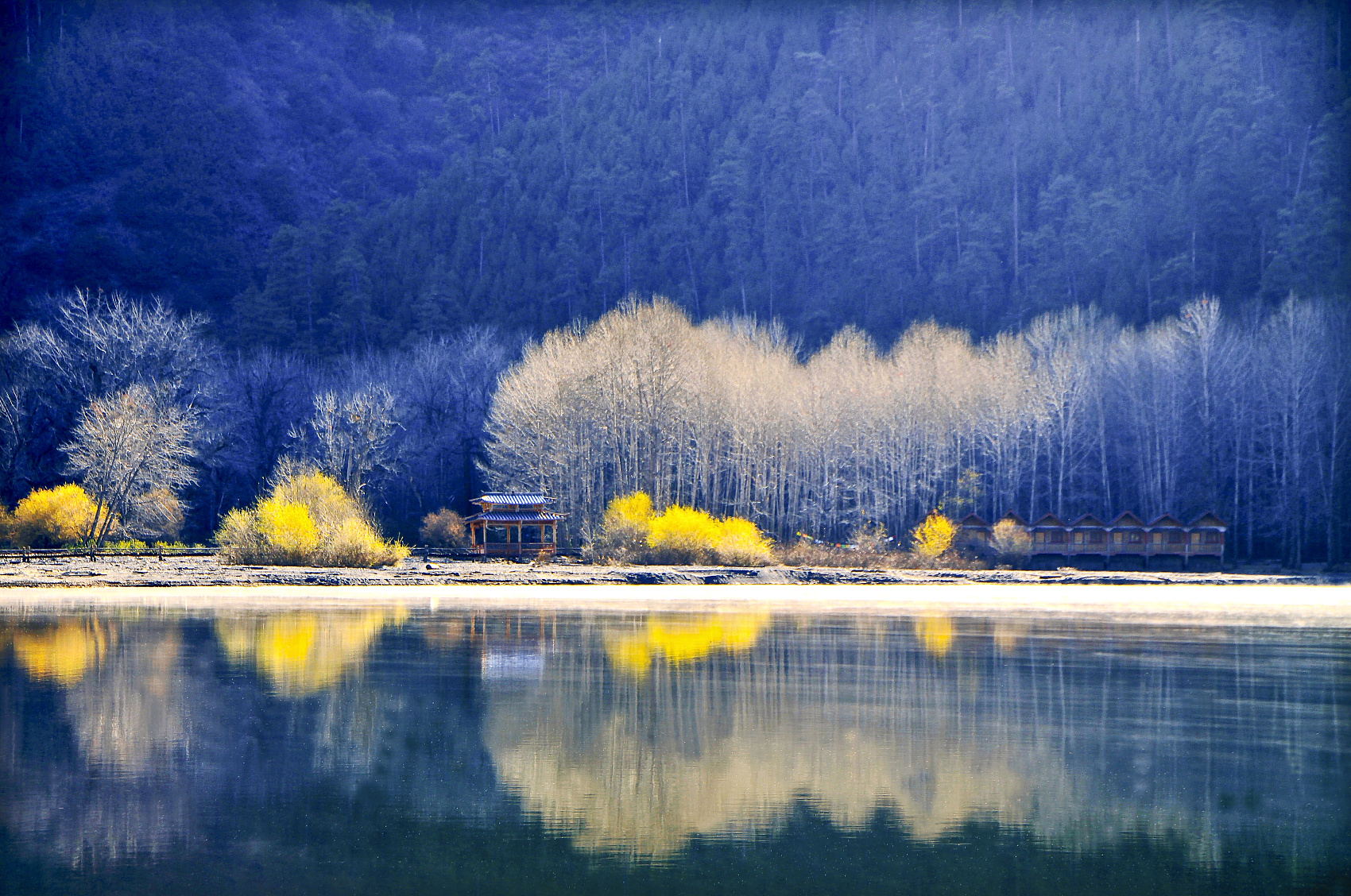 2020黑龙江省考行测技巧朴素逻辑不畏惧教你快速确定选项