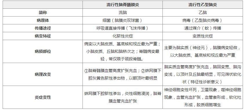 2020医疗招聘考试医基资料:流脑和乙脑的鉴别