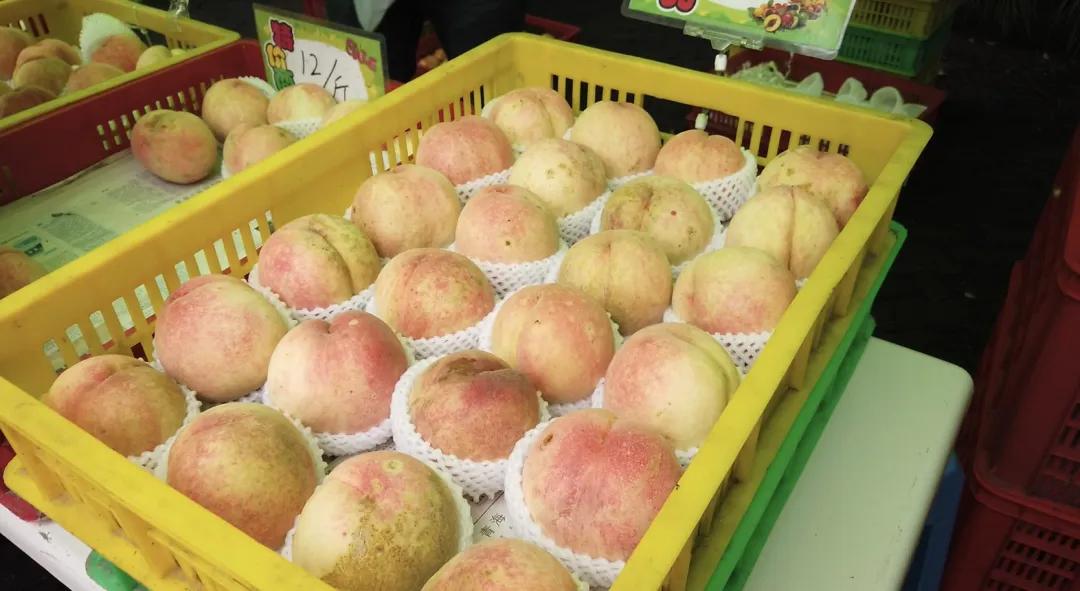 南汇水蜜桃,奉贤葡萄……在普陀这家公园即可买到!_水果