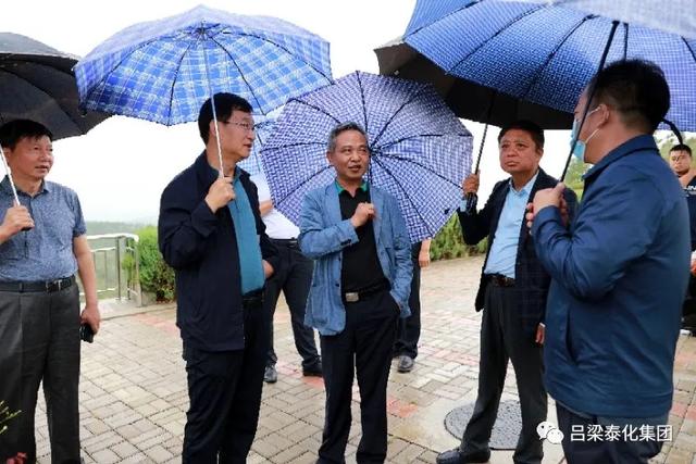 国家林草局驻北京专员苏祖云一行视察离石森林公园