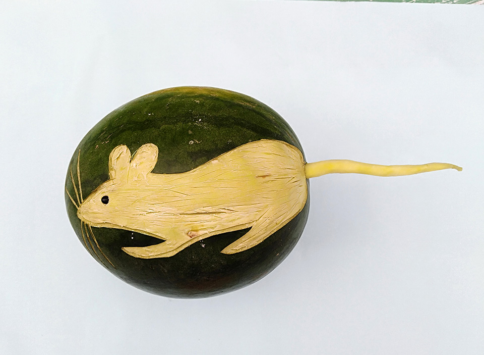 河南开封59岁大叔真会玩:西瓜雕刻出十二生肖动物