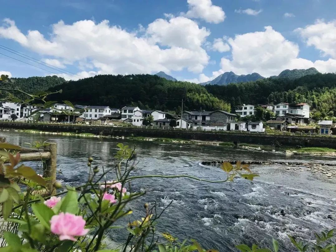 河暢,水清,岸綠,景美,來自泰寧大田溪的治水答卷