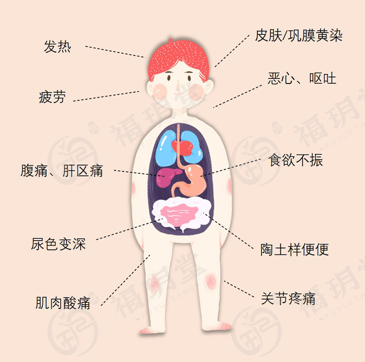 我国|小心“肝”呀！我国现有乙肝病毒携带者约7千万