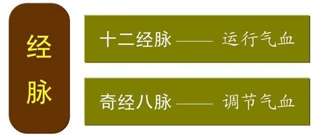 气犹如江河之水,奇经八脉则犹如湖泊水库,当十二经脉及脏腑气血旺盛时